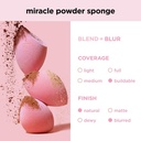 RT MIRACLE POWDER SPONGE