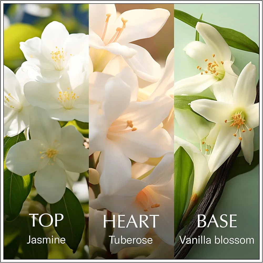 CHANSON D'EAU JASMINE W EDT 100 ML 