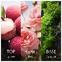 CHANSON D'EAU ROSE W EDT 100 ML