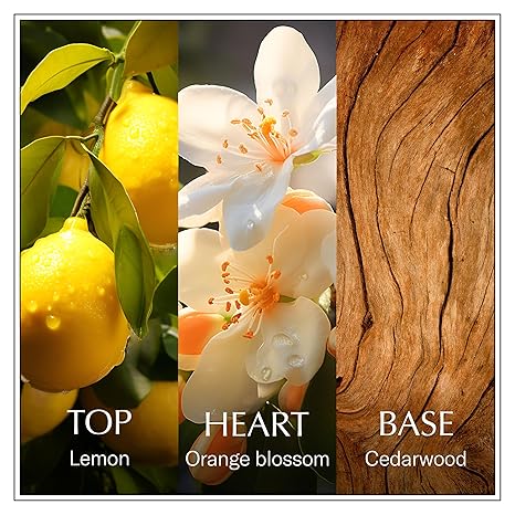 CHANSON D'EAU LEMON W EDT 100 ML