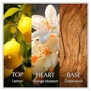 CHANSON D'EAU LEMON W EDT 100 ML