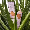 ESSENCE SKIN TINT
