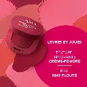 BOURJOIS BLUSH MACARON MELT LIP& CHEEK FLUSH