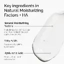 THE ORDINARY NATURAL MOISTURIZING FACTORS + HA