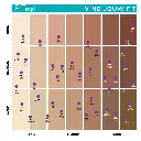 MAYBELLINE FIT ME FOUNDATION 